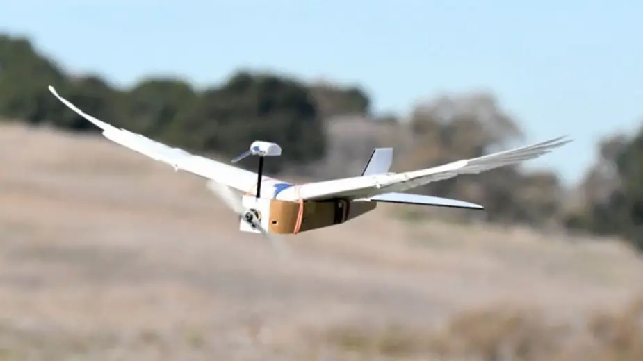 Will future UAVs fly like a bird